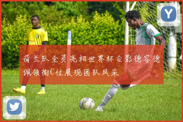 荷兰队全员亮相世界杯合影德容德佩领衔C位展现团队风采